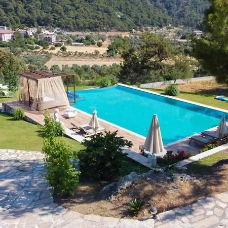 Greenery With Shared Pool In