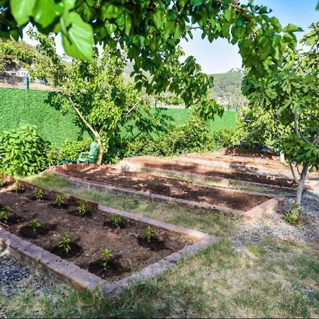 Greenery With Shared Pool In