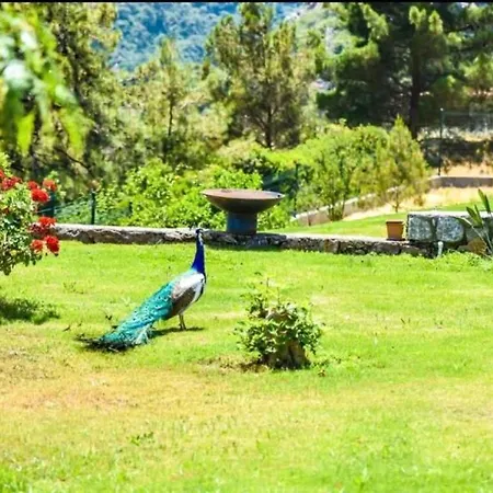 Villa Greenery With Shared Pool In Marmaris